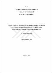 Küçük Resim