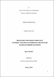 Küçük Resim