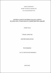 Küçük Resim